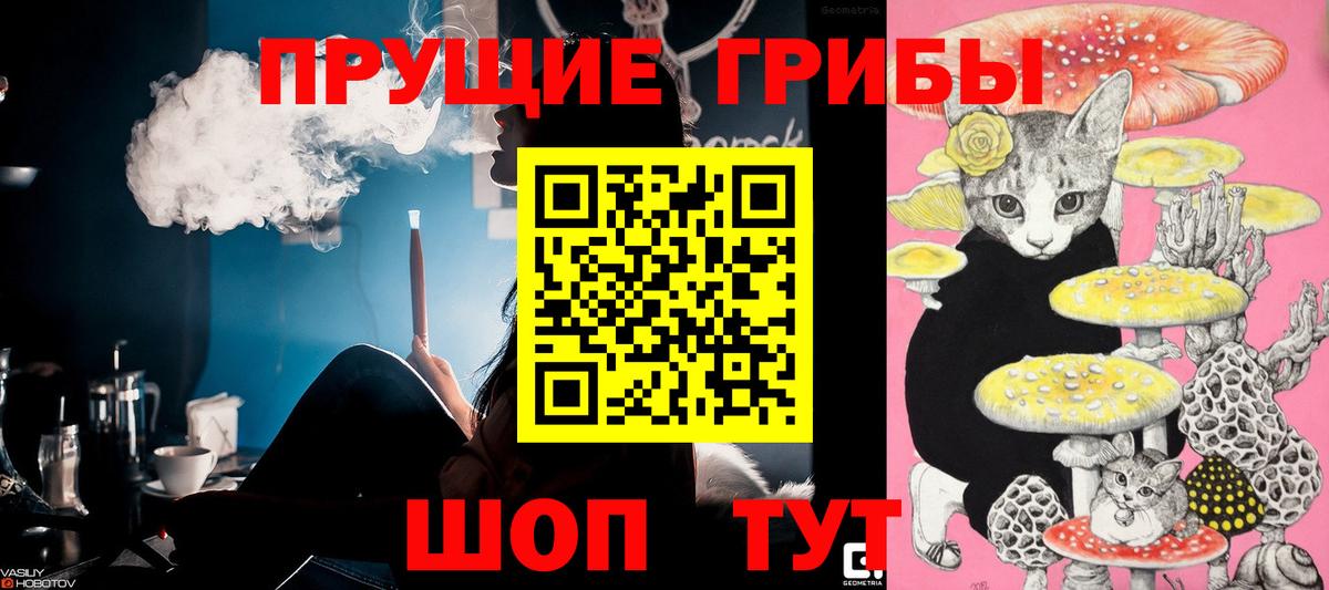 Анжеро-Судженск  Псилоцибиновые грибы Psilocybine cubensis  Вход с VPN 